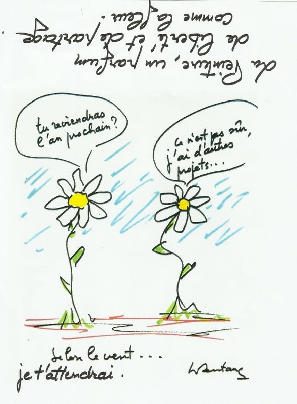 Tableau 4